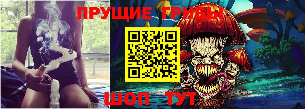 Корсаков  Псилоцибиновые грибы мицелий  Вход с VPN 